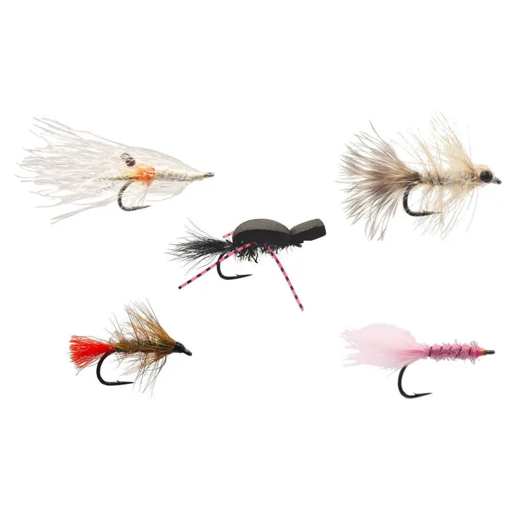 Meerforellen Sommer-Set