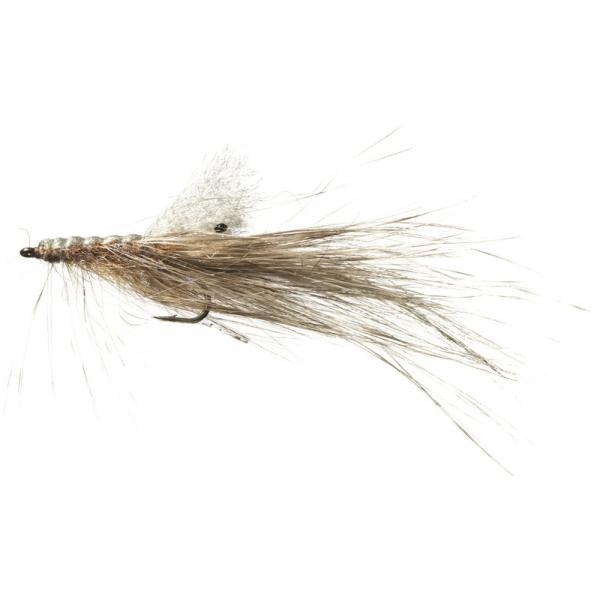 Pattegrisen Grizzly ds Meerforellenfliege