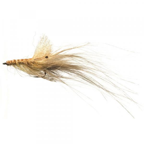 Pattegrisen Tan ds Meerforellenfliege