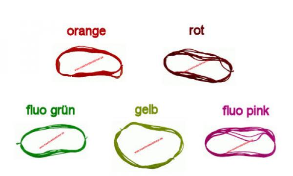 Hornhechtschlaufen DS