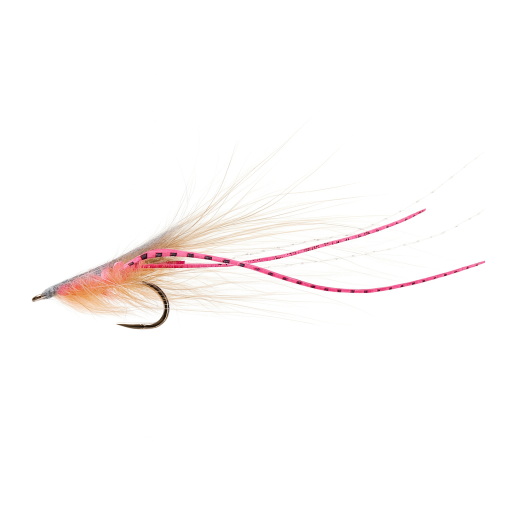 Meerforellenfliege Pattegrisen Pink