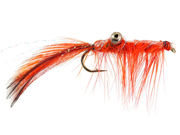 Crab Orange Meerforellenfliege