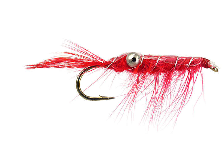 Crab Red Meerforellenfliege