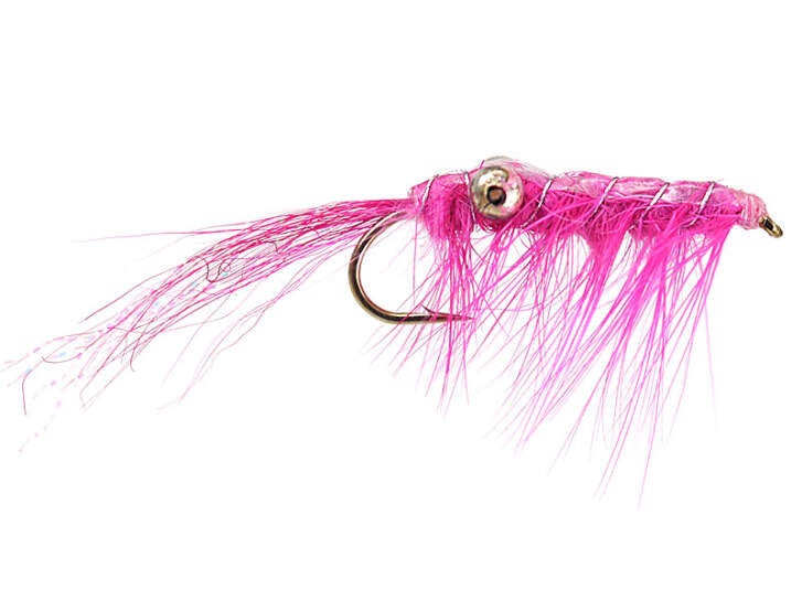 Glimmershrimp Pink Meerforellenfliege