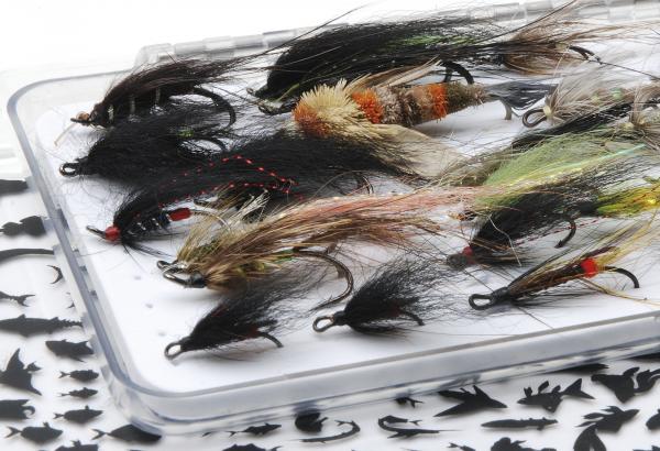 Vision Fit Fly Fliegendosen