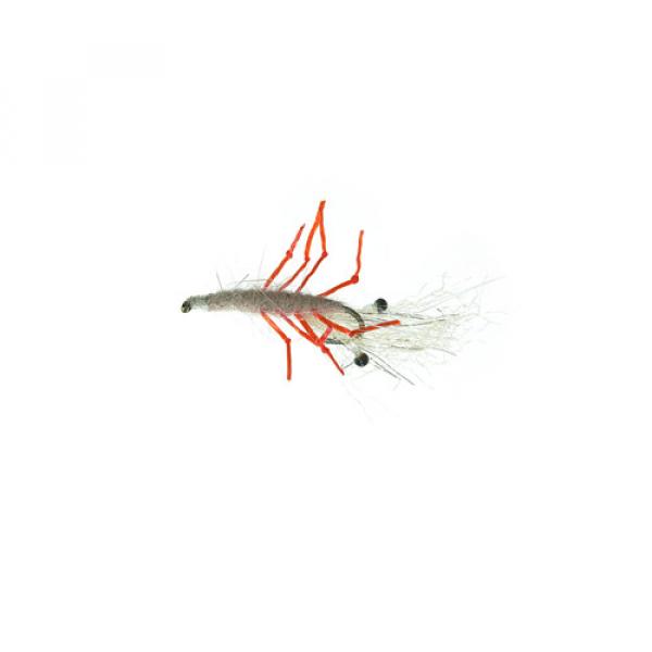 UF Honey Shrimp Hot Leg sea trout fly
